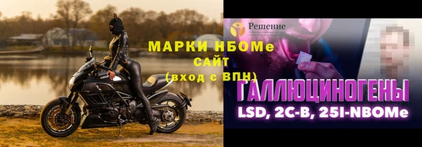 амф Бородино
