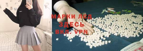 амф Бородино