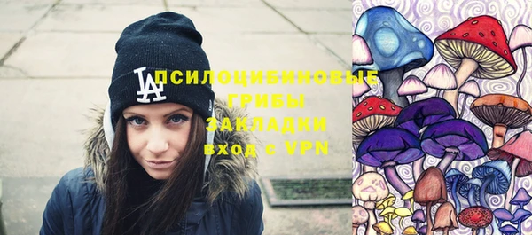стаф Бронницы