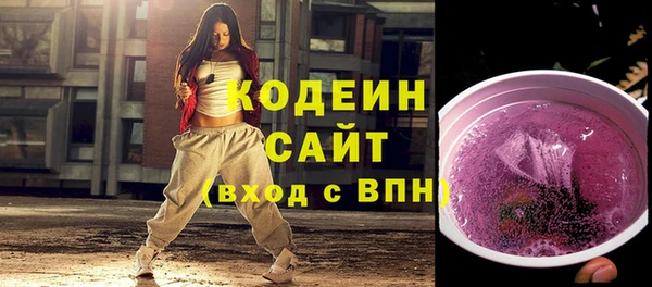 амф Бородино