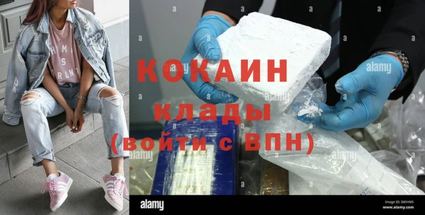 амф Бородино