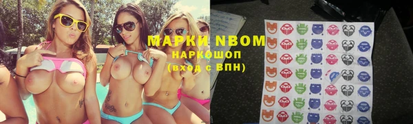 амф Бородино