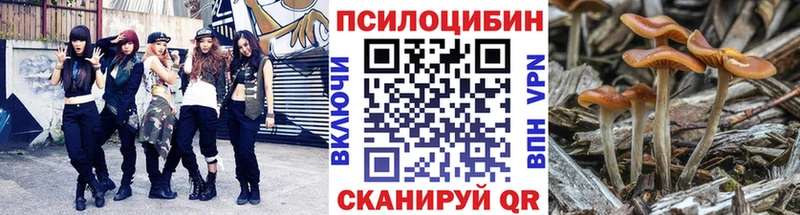 ссылка на мегу ссылка  магазин    Мирный  Галлюциногенные грибы Psilocybe 